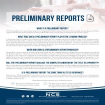 preliminary report